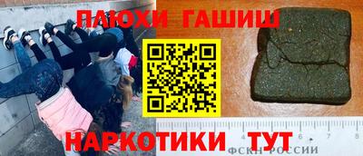 сатива Заводоуковск