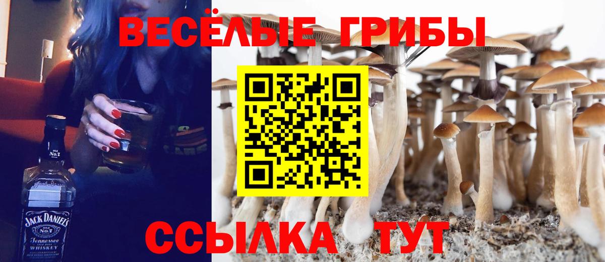 Галлюциногенные грибы Psilocybine cubensis  Галлюциногенные грибы Psilocybe  Вход с VPN  Златоуст 